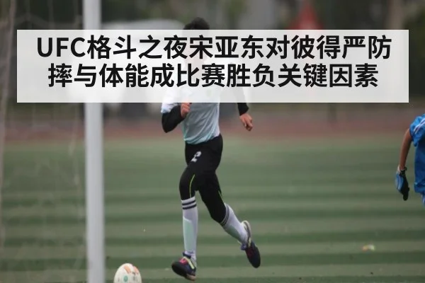 UFC格斗之夜宋亚东对彼得严防摔与体能成比赛胜负关键因素